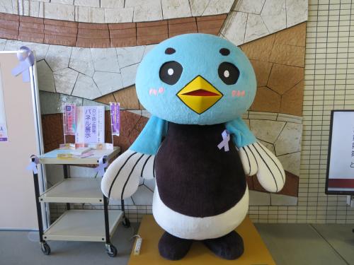 sagadaigaku