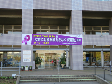 dv