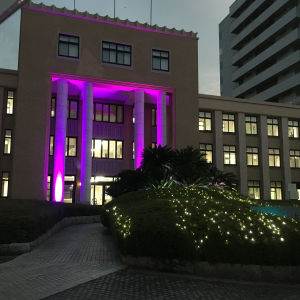 ｄｖ