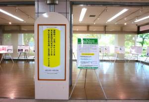 2025男女共同参画週間_テーマ展示01