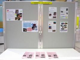 2025男女共同参画週間_共同参画ネットワークたけお