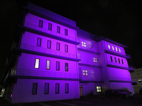 sagamedical sagamedical