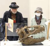 宇宙科学館展示